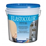Elastocolor Paint (Эластоколор Пейнт)