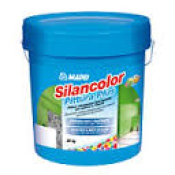 Silancolor Paint Plus (Силанколор Пейнт Плюс)